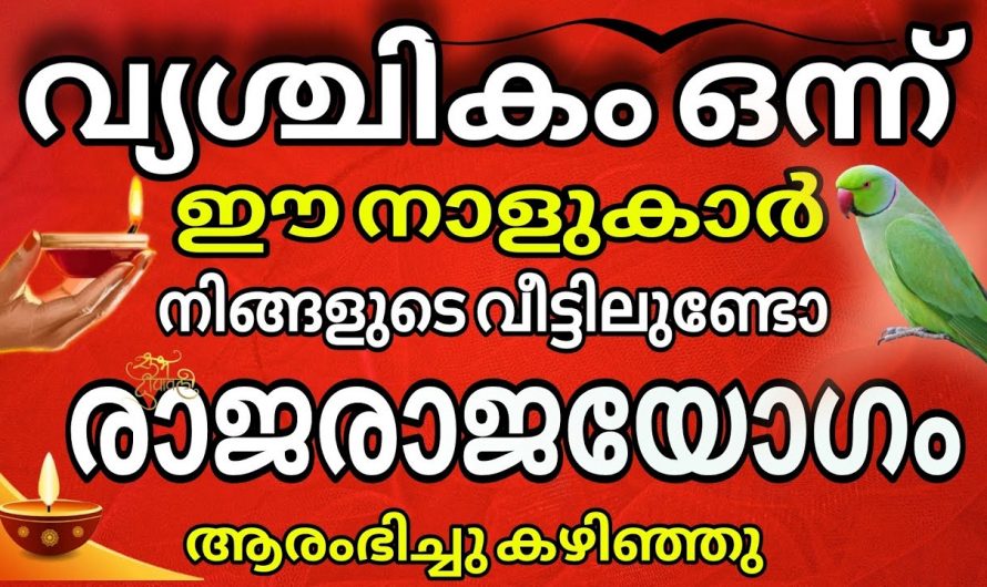 വൃശ്ചികം മാസത്തിൽ ഈ നക്ഷത്രക്കാർക്ക് വളരെ വലിയ നല്ല സമയം…