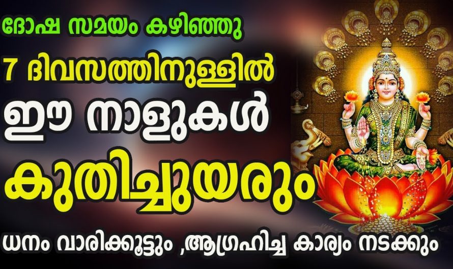 ഈ നക്ഷത്രക്കാർക്ക് ഏഴു ദിവസത്തിനുള്ളിൽ ഇവർ ആഗ്രഹിച്ച കാര്യം നടന്ന ജീവിതത്തിൽ മികച്ച നേട്ടങ്ങൾ നേടും..