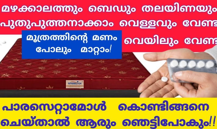 നമ്മുടെ വീടുകളിൽ ഇത്തരം കാര്യങ്ങൾ ചെയ്തു നോക്കൂ ഞെട്ടിക്കും റിസൾട്ട്…