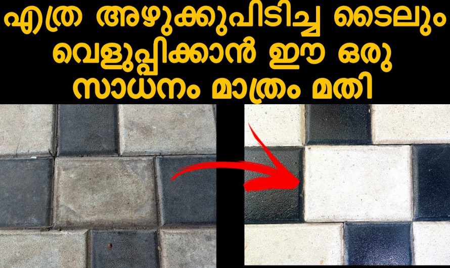 വീട്ടുമുറ്റത്തെ ടൈലലും കട്ടകളിലും ഉള്ള പായലും പൂപ്പലും കരിമ്പനും എളുപ്പത്തിൽ പരിഹരിച്ച് പുതിയത് പോലെ ആക്കാം..