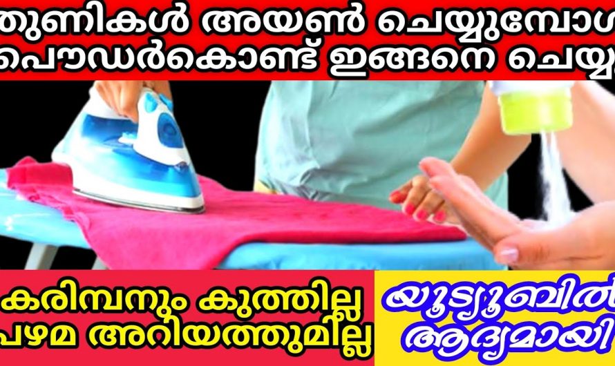 ഡേറ്റ് കഴിഞ്ഞ പൗഡറുണ്ടെങ്കിൽ ഇത്തരം കാര്യങ്ങൾക്ക് അത്യുത്തമം..