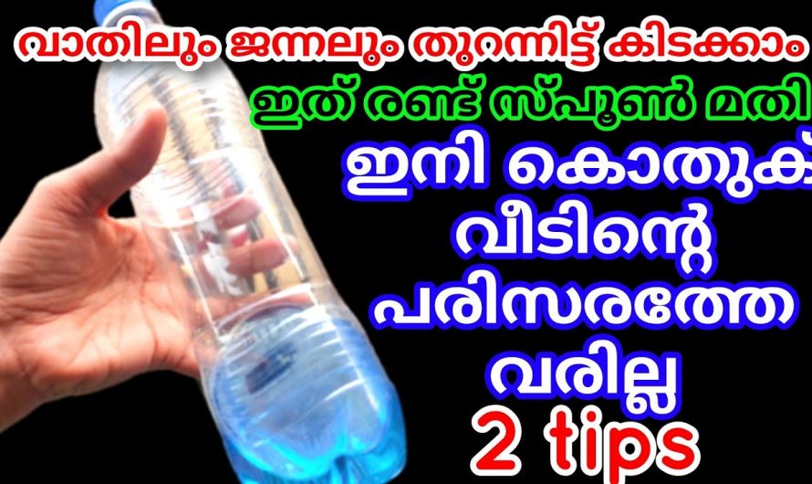 വീടിനകത്തും പുറത്തുമുള്ള കൊതുക് ശല്യം  പരിഹരിക്കാൻ