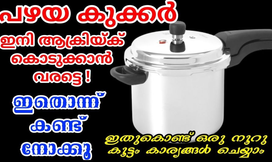 വീട്ടിൽ പഴയ കുക്കർ ഉണ്ടെങ്കിൽഇക്കാര്യങ്ങൾ ചെയ്തു നോക്കൂ ഞെട്ടിക്കുന്ന റിസൾട്ട്..