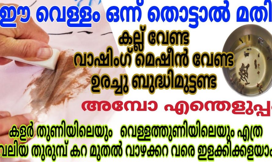 ഈയൊരു കാര്യം ചെയ്താലും വീട് എപ്പോഴും ക്ലീൻ ആയിരിക്കും..