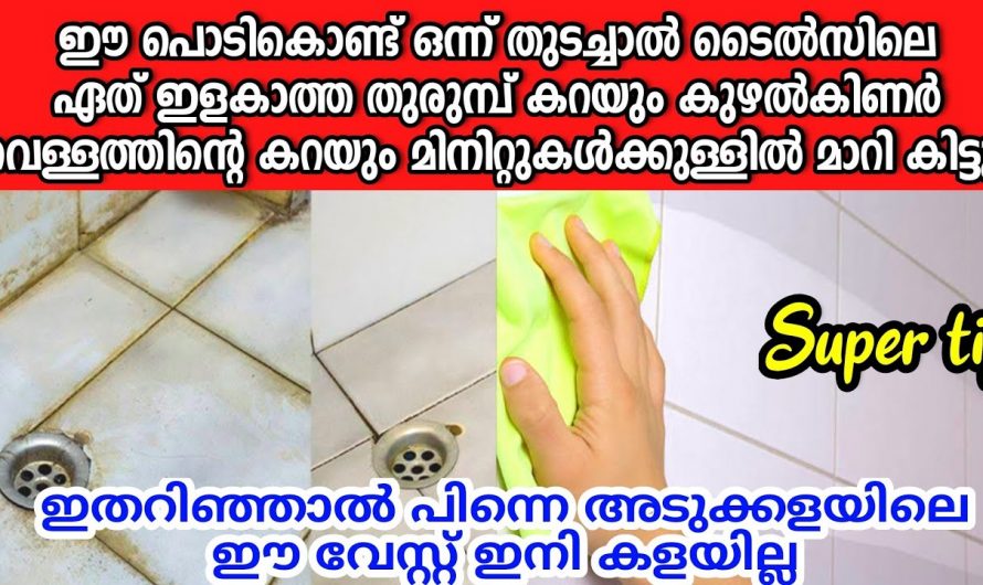 ഈ ഒരു സാധനം വീട്ടിൽ ഉണ്ടാക്കിയാൽ വീട് പുത്തൻ പുതിയത് പോലെ എപ്പോഴും നിലനിർത്താം..