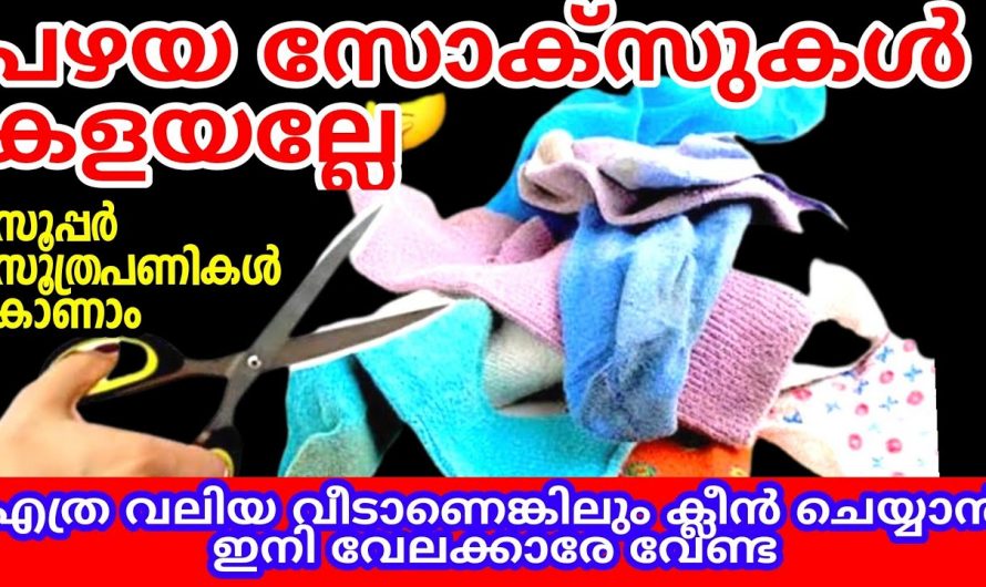 ഇത്തരത്തിലുള്ള ടിപ്സുകൾ യൂട്യൂബിൽ വളരെയധികം വൈറൽ..