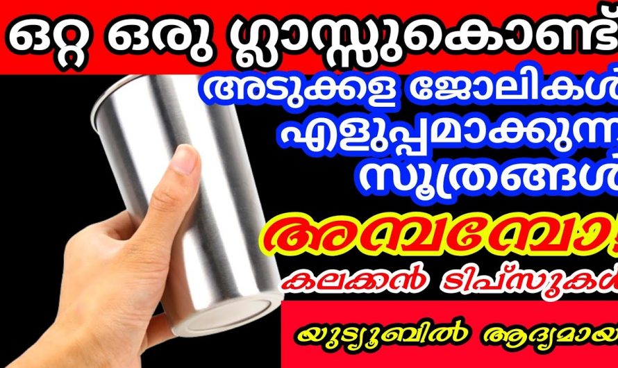 സ്റ്റീൽ ക്ലാസ് ഉപയോഗിച്ച് ഞെട്ടിക്കും ഗുണങ്ങൾ, ഒത്തിരി കാര്യങ്ങൾക്ക് ഗ്ലാസ് കിടിലം…