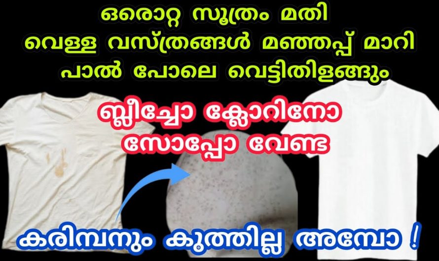 വെളുത്ത വസ്ത്രങ്ങളിലെ മഞ്ഞ നിറവും കറയും അഴുക്കും എളുപ്പത്തിൽ നീക്കം ചെയ്യാൻ…