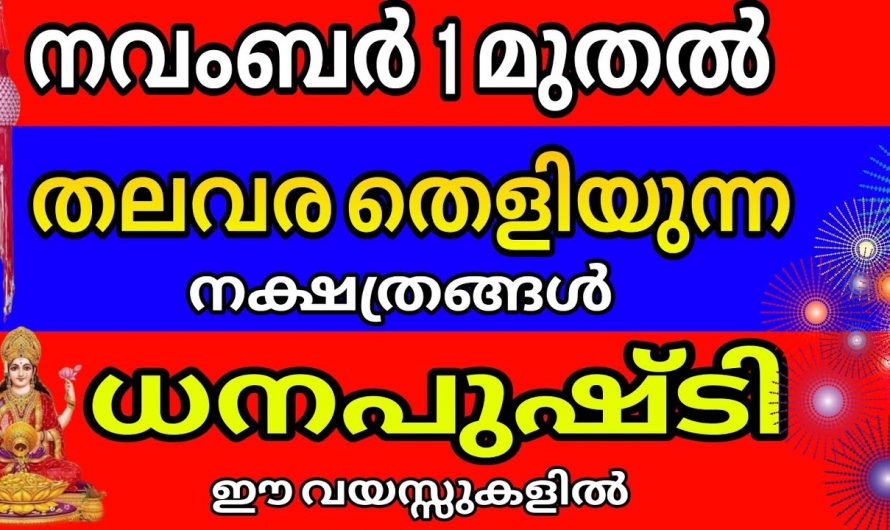 ഈ നക്ഷത്ര ജാതകർക്ക് നവംബർ മാസം മുതൽ ജെറ്റ്  പോലെ കുതിച്ച് ഉയരും.