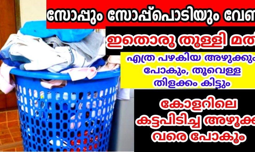 സോപ്പോ ഡിറ്റർജന്റെ ഉപയോഗിക്കാതെ എത്ര അഴുക്കുപിടിച്ച വസ്ത്രങ്ങളും പുത്തൻ പുതിയത് പോലെ ആക്കാൻ…