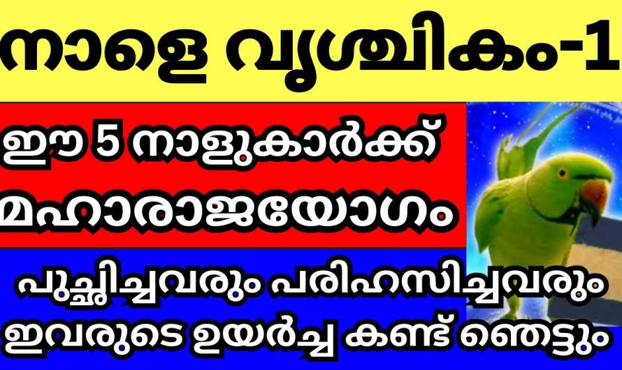 വൃശ്ചിക മാസത്തിൽ ഈ ആറു നക്ഷത്രക്കാർക്ക് സൗഭാഗ്യങ്ങളുടെ സമയം..