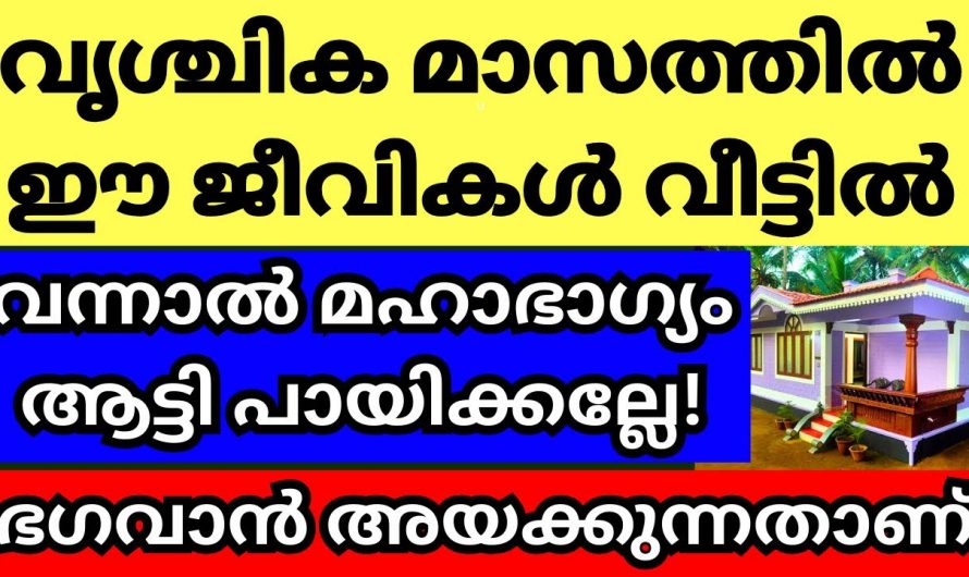 ഈ ജീവികളും വൃശ്ചിക മാസത്തിൽ വീട്ടിൽ വന്നാൽ ഐശ്വര്യവും സമ്പത്തും വർദ്ധിക്കും..