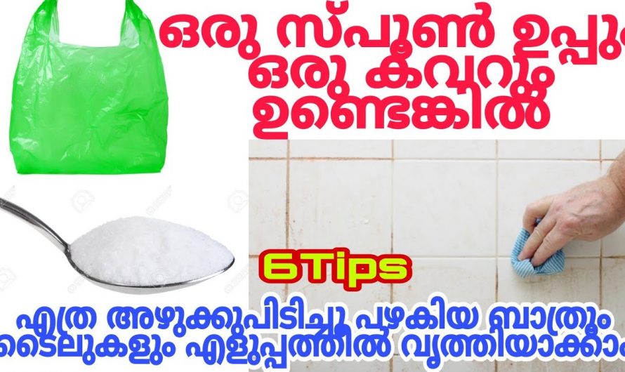 ഉപ്പു ഉപയോഗിച്ച് ചെയ്യാൻ സാധിക്കുന്ന ഞെട്ടിക്കും കിടിലൻ ടിപ്സുകൾ