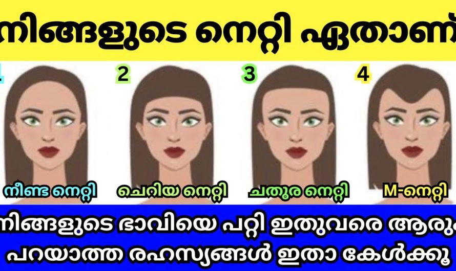 ഈ നാലിനെറ്റിലെ ഏതാണ് നിങ്ങളുടെ നെറ്റി എങ്കിൽ നിങ്ങളെക്കുറിച്ച് മനസ്സിലാക്കുക…