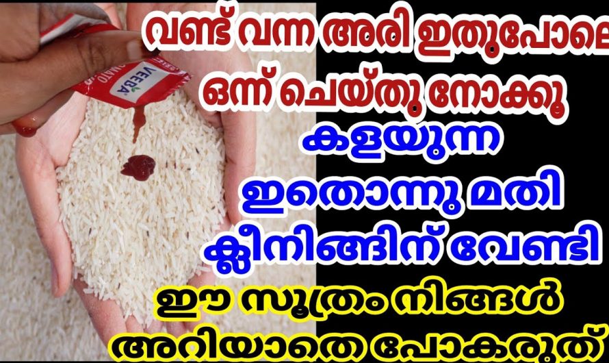 ഈയൊരു കാര്യം ചെയ്താൽ നമുക്ക് ഞെട്ടിക്കും റിസൾട്ട് ലഭിക്കും..