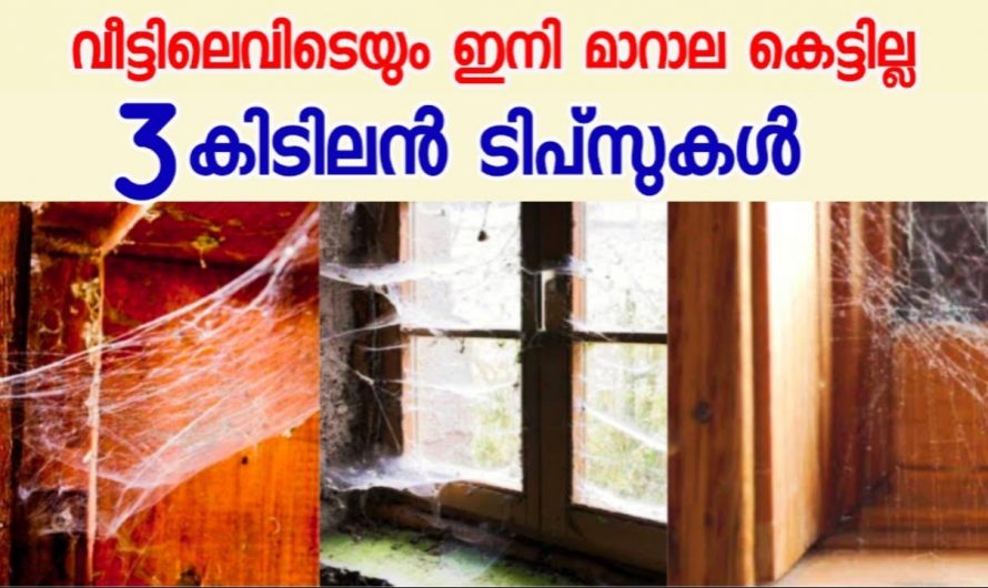 വീടിനകത്തെയും പുറത്തെയും മാറാല പൂർണ്ണമായും ഒഴിവാക്കാൻ.