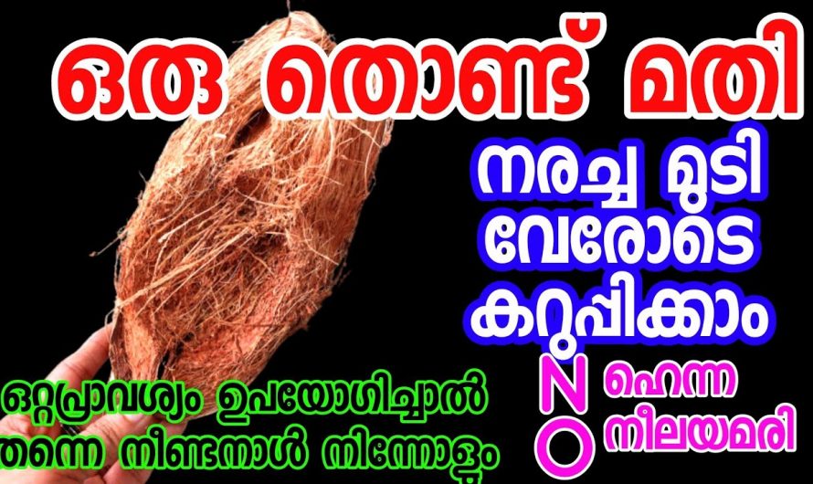 തലമുടിയിലെ താരൻ, നര എന്നിവ എളുപ്പത്തിൽ പരിഹരിക്കാൻ കിടിലൻ ഹെയർ പാക്ക്