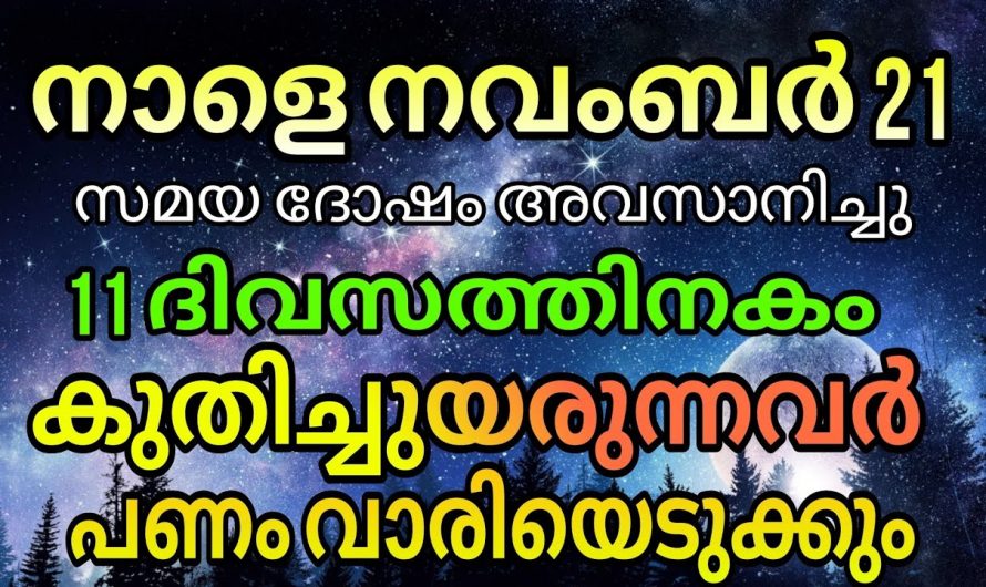 11 ദിവസത്തിനുള്ളിൽ ഈ നക്ഷത്രക്കാരുടെ സകല ദുഃഖങ്ങളും മാറി ഇവർ  കുതിച്ചുയരും..