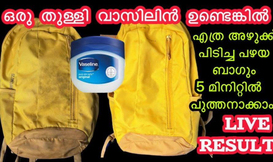 എത്ര പഴയ ബാഗ് ആണെങ്കിലും പുത്തൻ പുതിയത് പോലെ ആക്കാൻ കിടിലൻ വഴി..