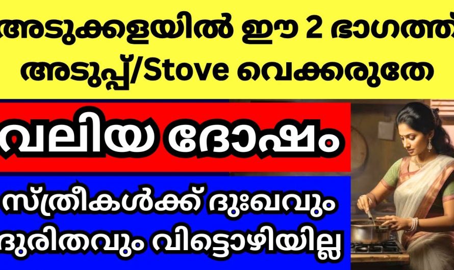 വീട്ടിൽ അടുപ്പ് പണിയുമ്പോൾ ഇക്കാര്യം പ്രത്യേകം ശ്രദ്ധിക്കണം ഇല്ലെങ്കിൽ സർവ്വനാശം…