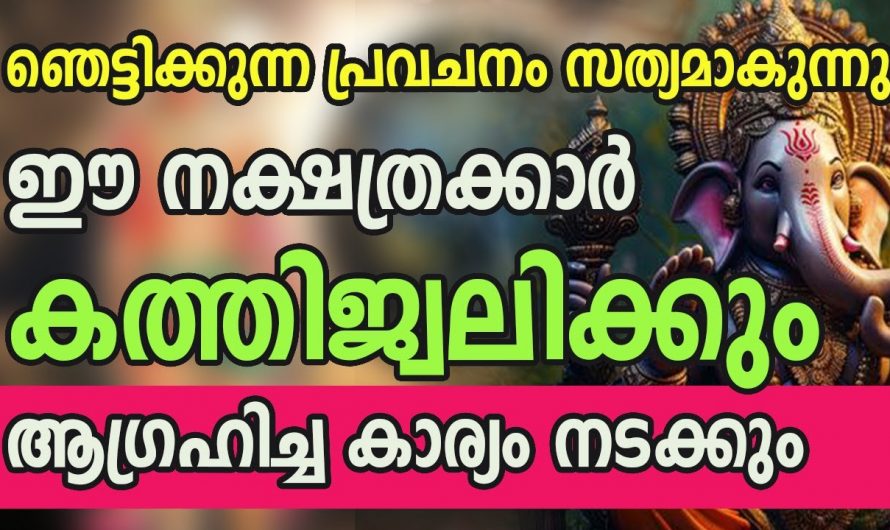 വൃശ്ചിക മാസത്തിൽ കുതിച്ചുയരുന്ന നക്ഷത്രക്കാർ,ഇവർക്ക് സൗഭാഗ്യങ്ങളുടെ പെരുമഴ..