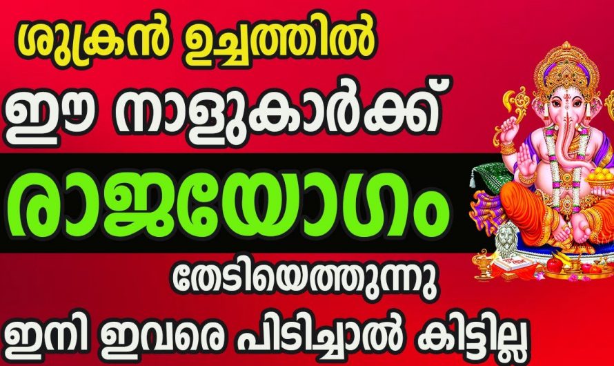 ഈ നക്ഷത്രക്കാർക്ക് ശുക്രനുദിക്കുന്നു ഇനി രാജയോഗം ലഭ്യമാകും..