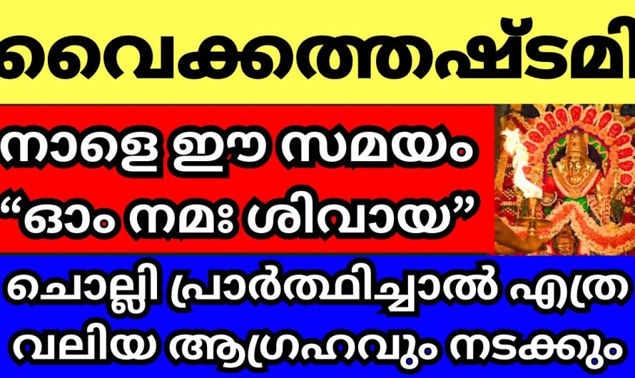 വൃശ്ചിക മാസത്തിലെ വൈക്കത്തഷ്ടമി  ഈ ദിവസം ഇങ്ങനെ പ്രാർത്ഥിച്ചാൽ സംഭവിക്കുന്നത്..