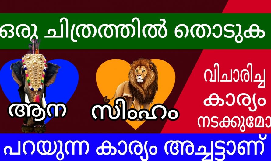 ഈ ചിത്രങ്ങളിൽ ഒന്ന് തിരഞ്ഞെടുക്കുക നിങ്ങളുടെ ജീവിതത്തെക്കുറിച്ച് മനസ്സിലാക്കുക.