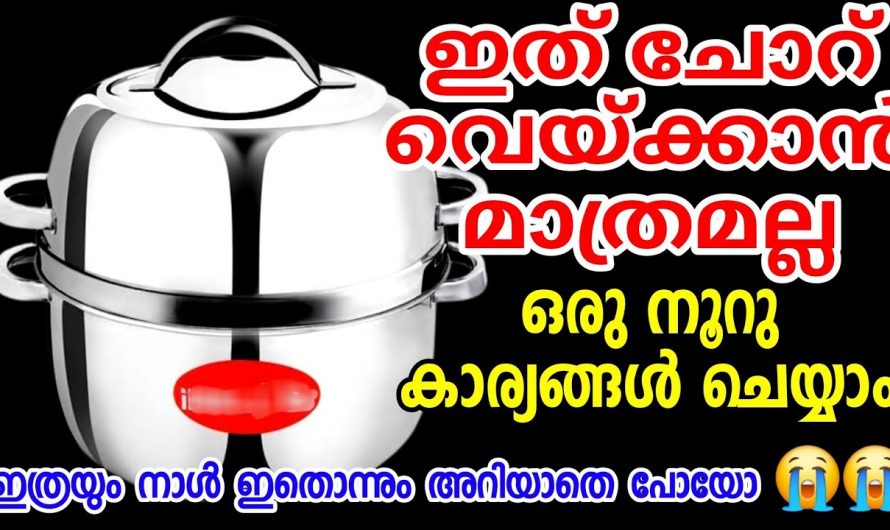 വീട്ടിൽ തെർമൽ കുക്കർ ഉണ്ടെങ്കിൽ ചോറ് വെക്കുന്നതിന് മാത്രമല്ല ഞെട്ടിക്കും കിടിലൻ ഉപയോഗങ്ങൾ.