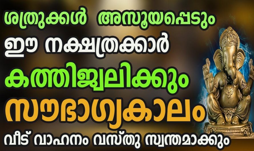 ഈ നക്ഷത്രക്കാരുടെ ഉയർച്ച കണ്ടു  ശത്രുക്കൾ പോലും അതിശയപ്പെടും…