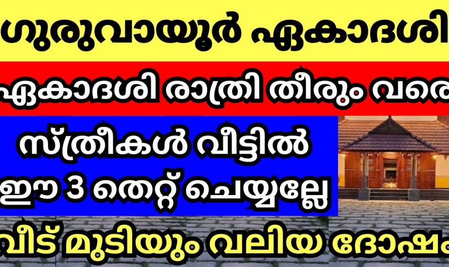 ഇത്തരം കാര്യങ്ങൾ ചെയ്യുന്നത് ഏകാദശി ദിവസം വളരെ ദോഷം ചെയ്യും വീട്ടമ്മമാർ പ്രത്യേകംശ്രദ്ധിക്കുക..