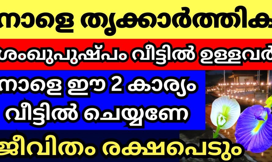 തൃക്കാർത്തിക നാളിൽ വീട്ടിൽ വിളക്ക് ഇങ്ങനെ കത്തിച്ചാൽ ഏറ്റവും നല്ലത്..