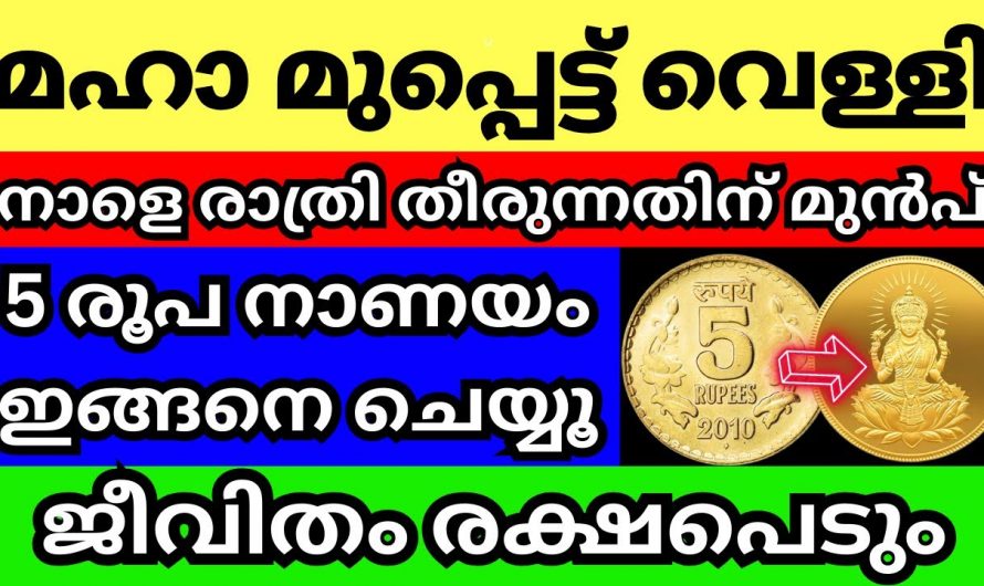 ധന മാസത്തിലെ മുപ്പട്ട്  വെള്ളി ദിവസം ഇങ്ങനെ ചെയ്യുന്നത് വഴി വീട് രക്ഷപ്പെടും..