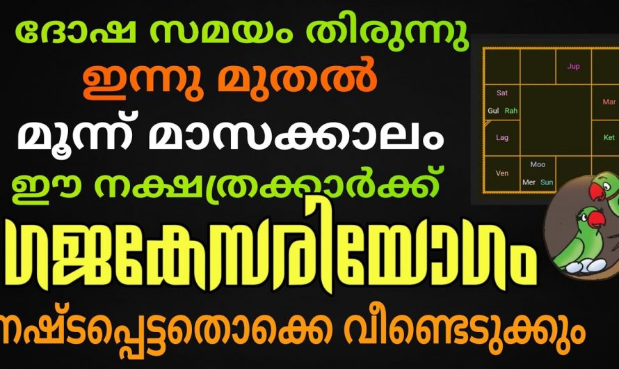 വരുന്ന മൂന്ന് മാസക്കാലം ഈ നക്ഷത്രക്കാർക്ക് വളരെ സൗഭാഗ്യങ്ങളുടെ കാലഘട്ടം..