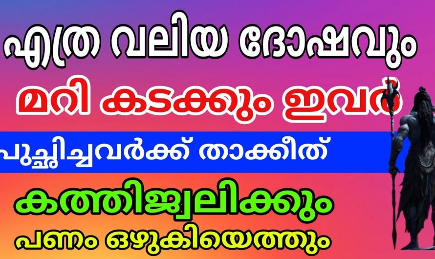 ജീവിതത്തിലെ സകലവിധ ദോഷങ്ങൾ ഇല്ലാതായി ജീവിതം നല്ല രീതിയിൽ രക്ഷപ്പെടുന്ന നക്ഷത്രങ്ങൾ..