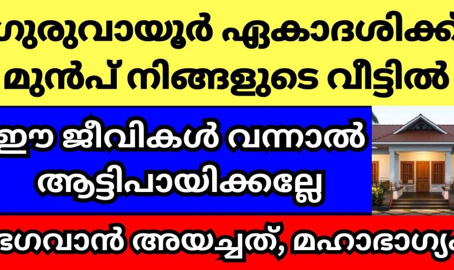 ഈ ജീവികൾ ഗുരുവായൂർ ഏകാദശിക്ക് മുൻപ് വീട്ടിൽ വന്നാൽ മഹാഭാഗ്യം..