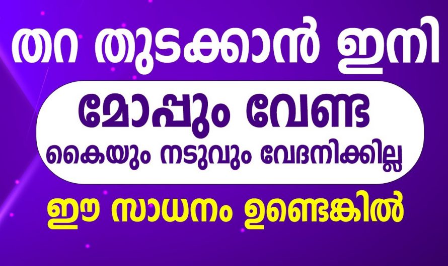 തറ  തുടയ്ക്കാൻ ഇതാ കിടിലൻ മാർഗ്ഗം..