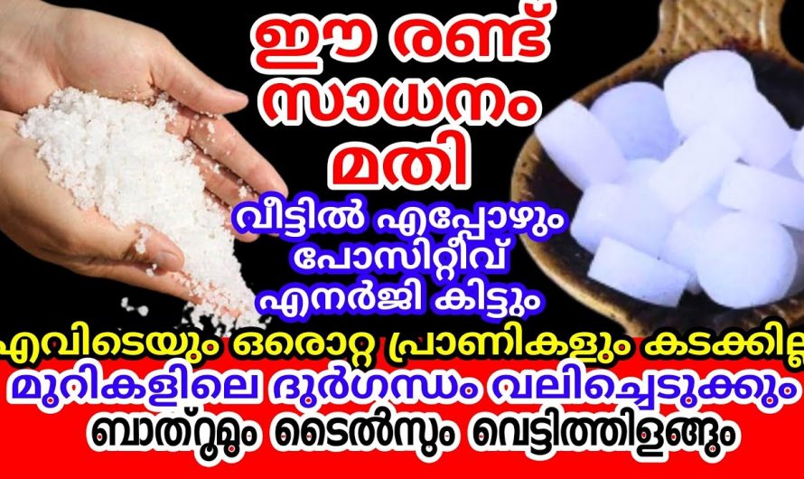 ഉപ്പും കർപ്പൂരവും ഇങ്ങനെ ഉപയോഗിച്ചാൽ ഞെട്ടിക്കും റിസൾട്ട്..