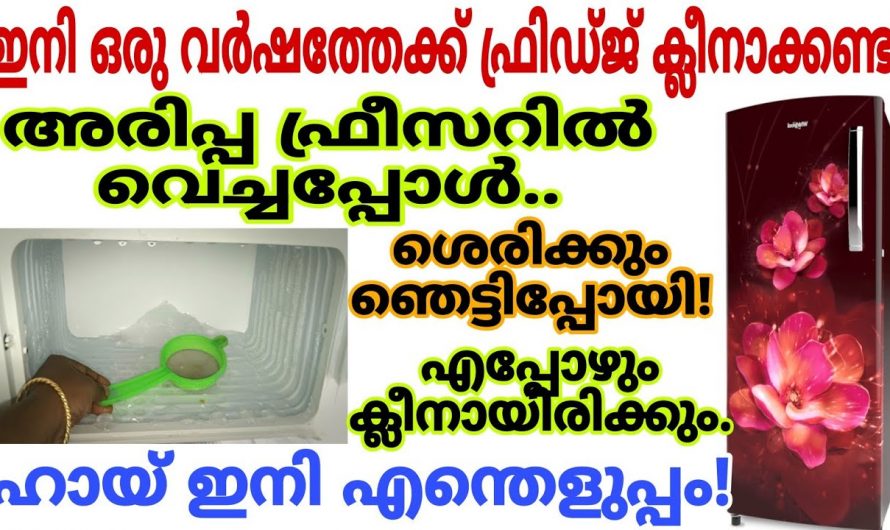 വീട്ടിൽ ഫ്രിഡ്ജ് ക്ലീൻ ചെയ്യുമ്പോൾ ഇങ്ങനെ ചെയ്തു നോക്കൂ ഞെട്ടിക്കും റിസൾട്ട്..