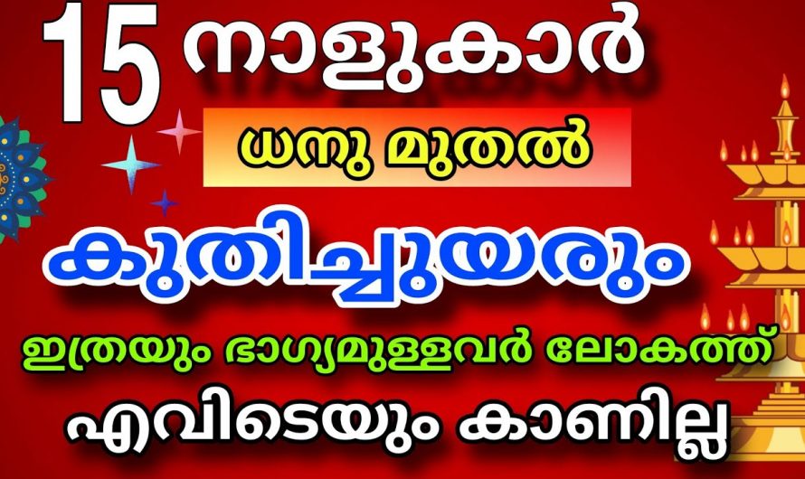 ധനുമാസം നക്ഷത്ര ജാതകർക്ക് ഉയർച്ചയുടെ കാലഘട്ടം..