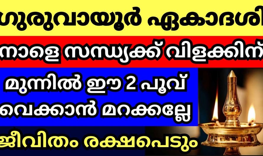 ഏകാദശിയുടെ ദശമി ദിവസം ഇങ്ങനെ നിലവിളക്ക് കത്തിച്ചു പ്രാർത്ഥിക്കുക