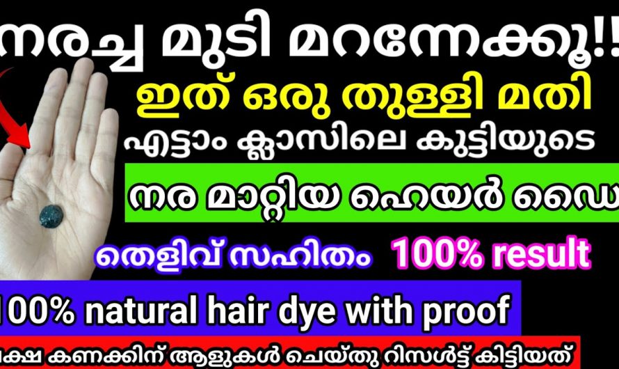 ഇനി മുടി നരയ്ക്കുമെന്ന് ഒട്ടും വിഷമിക്കേണ്ട,ഇതാ കിടിലൻ  പ്രകൃതത്തെ ഹെയർ ഡൈ