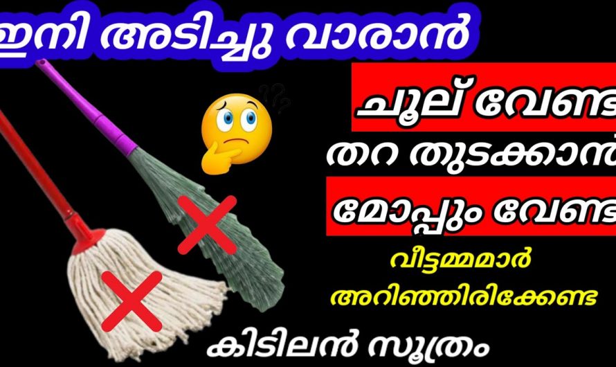 നിത്യജീവിതത്തിൽ വളരെയധികം ഗുണം ചെയ്യുന്ന കിടിലൻ ടിപ്സുകൾ.