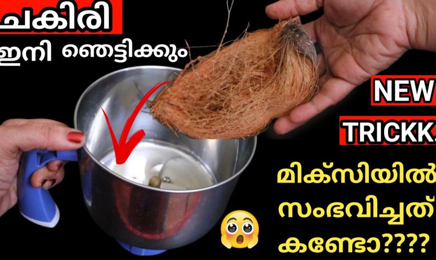 ചകിരി കളയേണ്ട ഇത് ഉപയോഗിച്ച് ഇതാക്കിടിലൻ ക്രാഫ്റ്റ് വർക്ക്