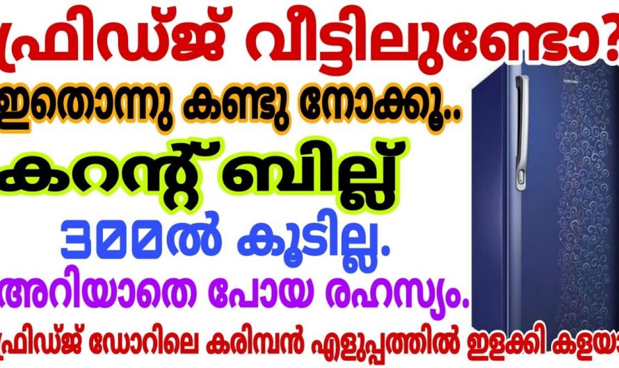 എത്ര പഴക്കം ചെന്നതും അഴുക്ക് പിടിച്ചതുമായ ഫ്രിഡ്ജ് നിമിഷം നേരങ്ങൾ കൊണ്ട് ക്ലീൻ ചെയ്യാം.