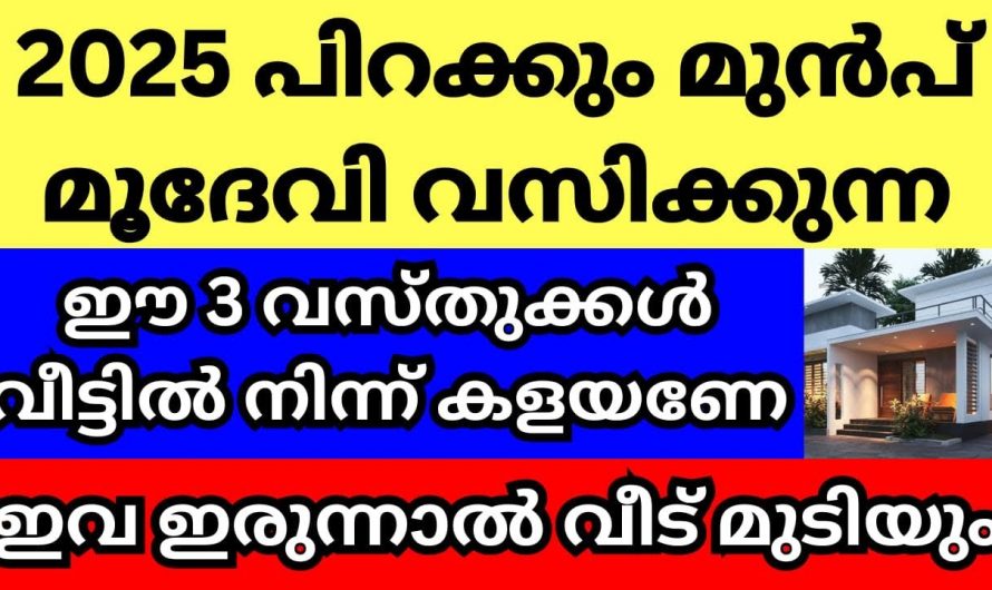 2025  പിറക്കുന്നതിന്  മുൻപ് വീട്ടിൽ നിന്നും ഇത്തരം കാര്യങ്ങൾ ഒഴിവാക്കുക..