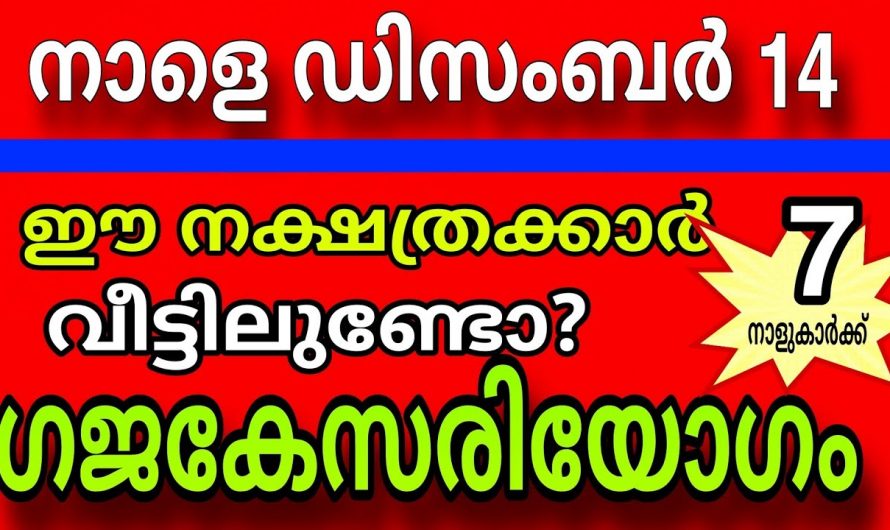 ഡിസംബർ 15 മുതൽ ഈ നക്ഷത്ര ജാതകർ രക്ഷപ്പെടും