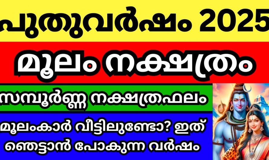 2025 മൂലം നക്ഷത്രക്കാരുടെ ജീവിതത്തിൽ സംഭവിക്കുന്നത്..