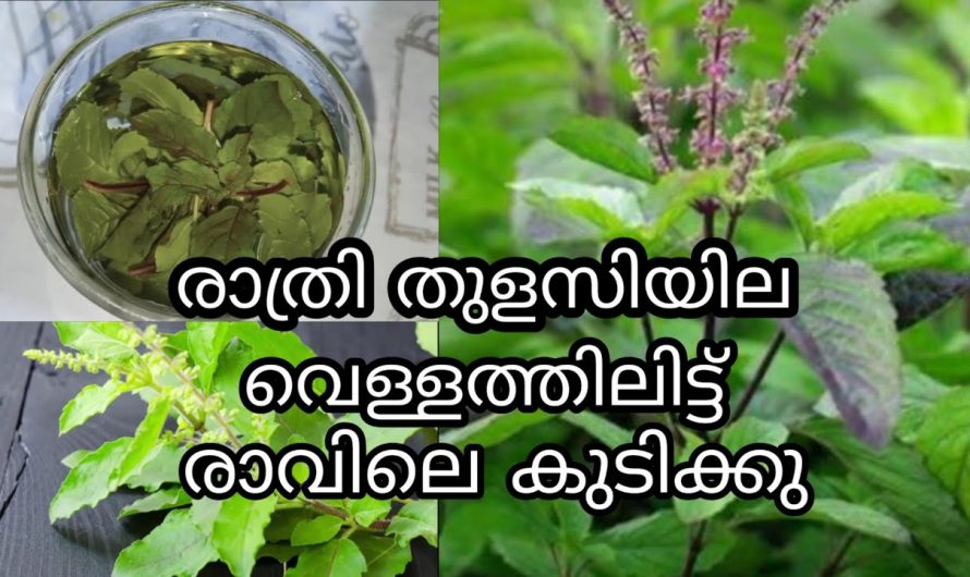 തടിയും വയറും കുറയുന്നതിന് മാത്രമല്ല ആരോഗ്യം വർദ്ധിക്കാനും ഈ വെള്ളം കിടിലം  ..