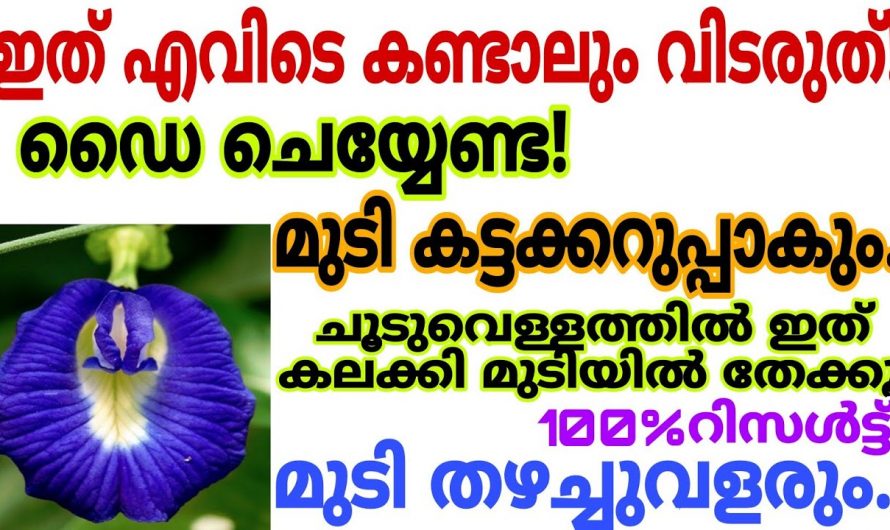 ഇനി മുടിയുടെ നരയോട് വിടപറയാം   ഇതാ കിടിലൻ പ്രകൃതിദത്ത ഹെയർ ഡൈ..